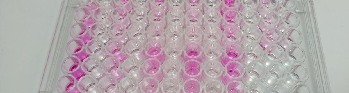 Analyses biochimiques