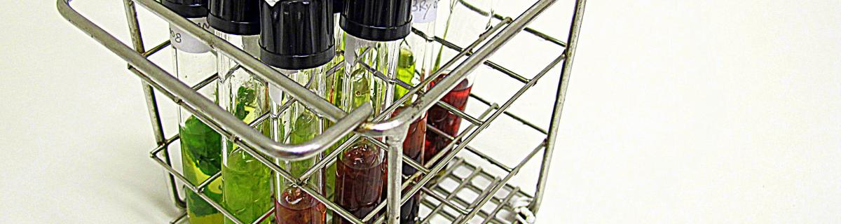 Lipid extraction