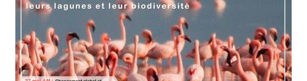 JILO 2020 : Journées Internationales de Limnologie et d'Océanographie, 27-29 mai 2020 à Marseille