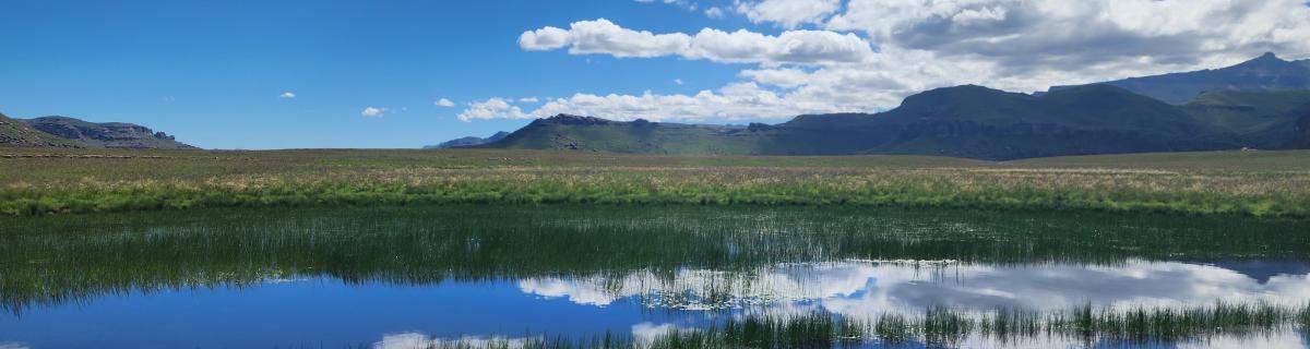 Mare temporaire dans le Drakensberg. © Nicolas Rabet