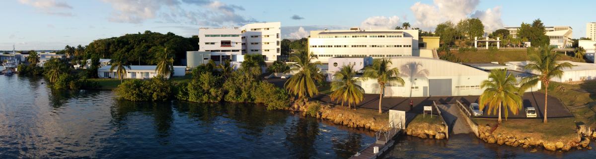 Vue du Laboratoire  - Université des Antilles (UA)