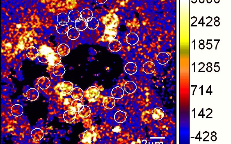 δ13C Imaging of a purple sulphur bacterial mat