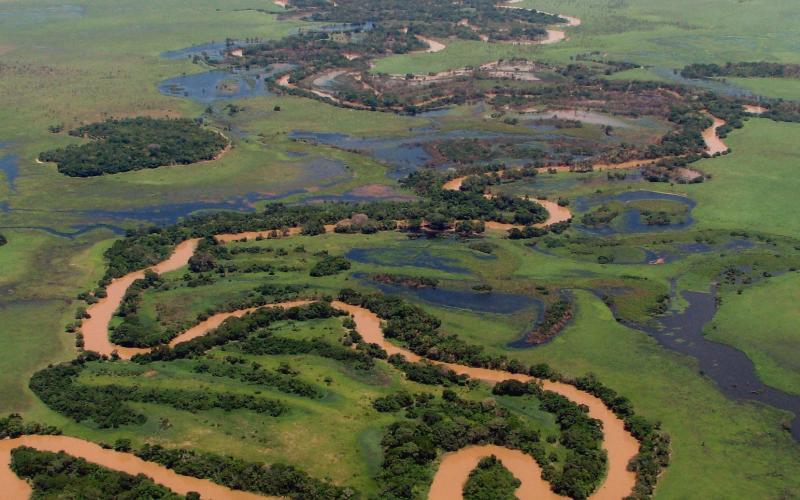 Habitats aquatiques de l’Amazonie bolivienne