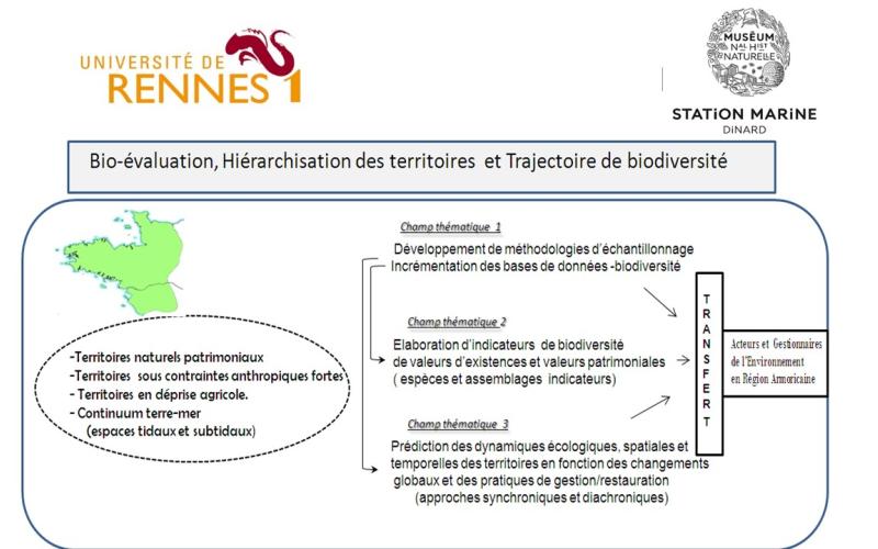 Synopsis des thématiques abordées