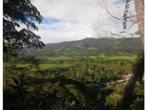 Massif karstique de l’Alto Mayo (Pérou amazonien)