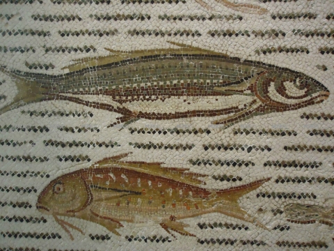 Des poissons, musée archéologique de Sousse Des poissons, musée archéologique de Sousse