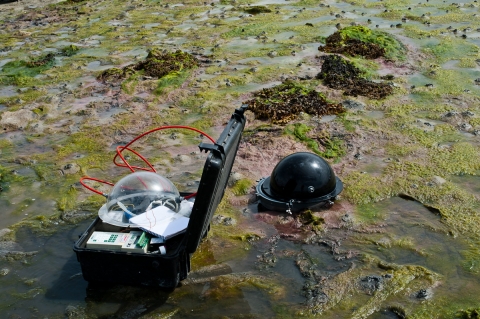 in situ measurement of CO2 fluxes