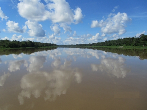 Fleuve Amazone © IRD/J.-M. Martinez