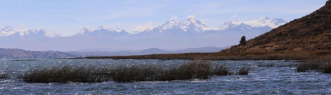 Petit lac Titicaca avec roselières (totoras) en premier plan et Cordillère Royale au fond
