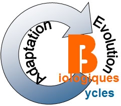 Logo ATM Cycles biologiques