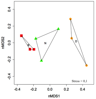 Statistical analysis (non-Metric Multidimensional Scaling) on bacterial OTUs abundance determined by TRFLP on 3 replicates of concrete (B), natural rock (N) and dolomite (D) © Elisabeth Riera