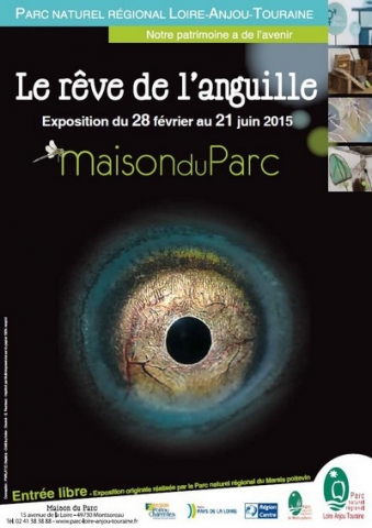 Affiche de l'exposition Le rêve de l'anguille