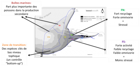 The six studied zones and the main caracteristics derived from there modelling. The zones are defined based on the maps of Baffreau et al. 2017 and the modelling work leading to these conclusions are presented in Tecchio et al 2015 and 2016. © Tecchio Samuele and Nathalie Niquil