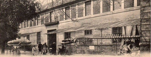 Pavillon de la Baleine. © MNHN