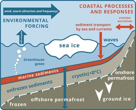 Principaux forçages sur un littoral polaire