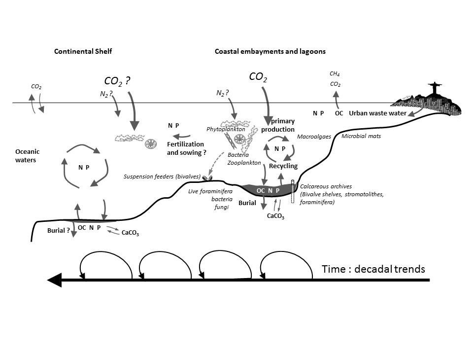 Les mécanismes de propagation de l’eutrophisation à l’interface Terre-Mer en région tropicale et les interactions entre les cycles biogéochimiques du Carbone, de l’Azote et du Phosphore et les organismes à la base du réseau trophique - G. Abril