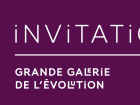 Bannière invitation
