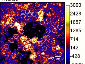 δ13C Imaging of a purple sulphur bacterial mat