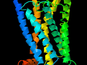 Structure tridimensionnelle du récepteur Kissr, à 7 domaines transmembranaires,  de l'anguille européenne