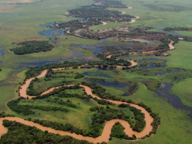 Habitats aquatiques de l’Amazonie bolivienne