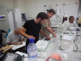 Travail  d'identification et de mensuration. Mission (IRD-CNRS-MNHN) : Programme Mangrove de Mayotte avril 2014