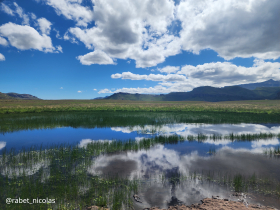 Mare temporaire dans le Drakensberg. © Nicolas Rabet