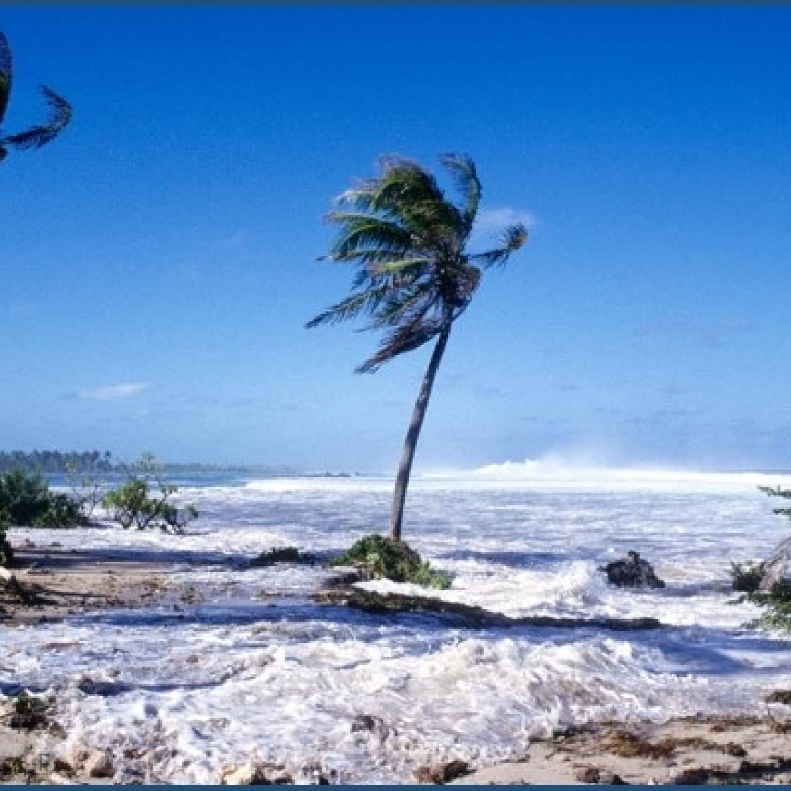 https://www.ocean-climat.fr/Les-actions-et-projets/Les-projets-de-recherche/FUTURISKS