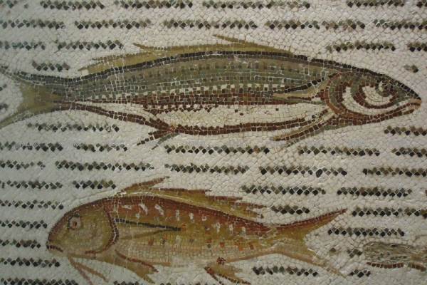 Des poissons, musée archéologique de Sousse