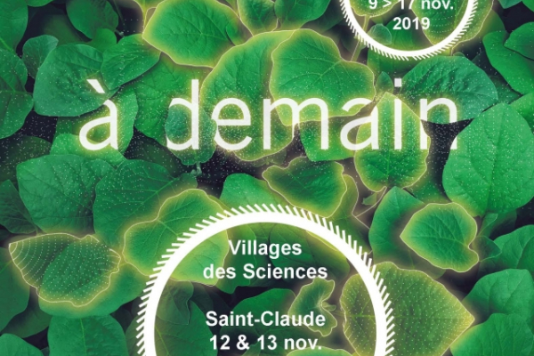 A Pointe à Pitre (Guadeloupe), fêtez la science avec les chercheurs de BOREA du 13 au 15 novembre 2019 !