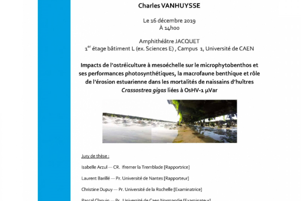 BOREA-Avis-Soutenance-de-thèse-Charles-VANHUYSSE