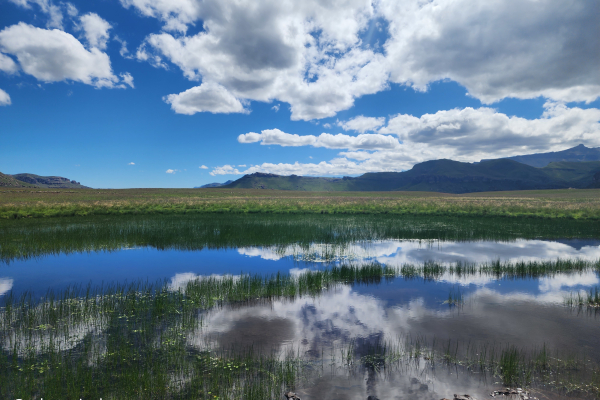 Mare temporaire dans le Drakensberg. © Nicolas Rabet