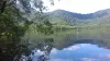 Mangrove préservée dans la région de Rio de Janeiro, Brésil - G. Abril