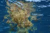 Sargasses flottantes Petit cul de sac Marin, Guadeloupe - PJ Lopez