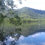 Mangrove préservée dans la région de Rio de Janeiro, Brésil - G. Abril